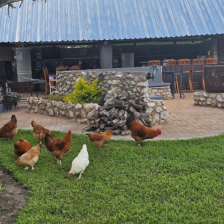 Tamboti Farm Accommodation Tsumeb Exterior foto
